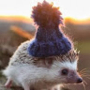 Meet your Posher, Phoebe